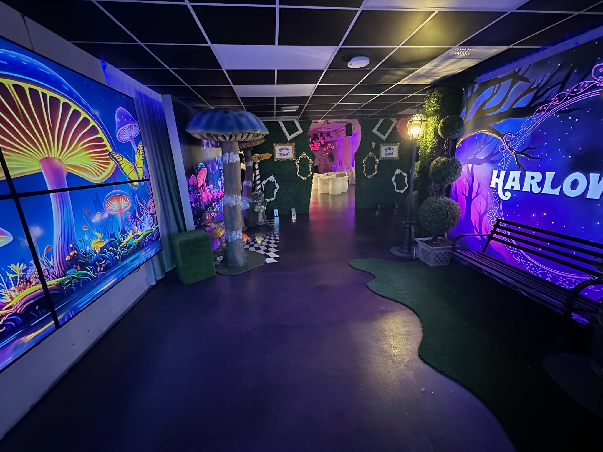 Halloween Wonderland